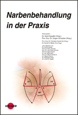 Narbenbehandlung in der Praxis - Gerd Gauglitz, J&uuml;rgen Schauber