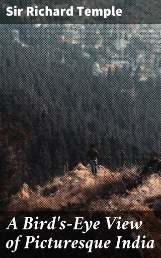 A Bird's-Eye View of Picturesque India