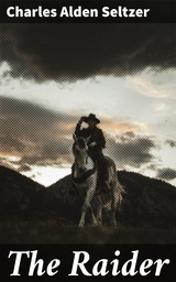The Raider - Charles Alden Seltzer