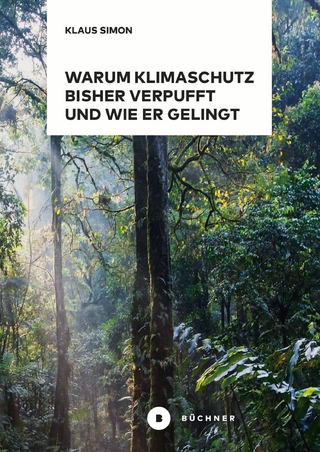 Warum Klimaschutz bisher verpufft und wie er gelingt
