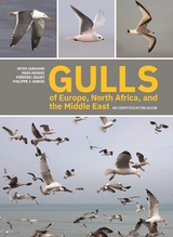Gulls of Europe, North Africa, and the Middle East - Peter Adriaens, Mars Muusse, Philippe J. Dubois, Fr&eacute;d&eacute;ric Jiguet