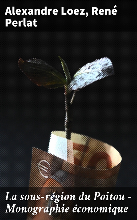 La sous-r&eacute;gion du Poitou - Monographie &eacute;conomique - Alexandre Loez, Ren&eacute; Perlat