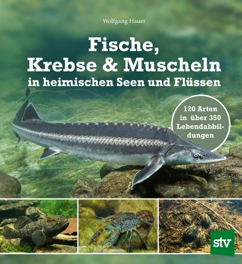 Fische, Krebse & Muscheln in heimischen Seen und Fl&uuml;ssen - Wolfgang Hauer