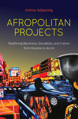 Afropolitan Projects -  Anima Adjepong