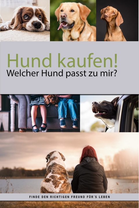 Hund kaufen aber welcher Hund passt zu mir? - Felix Dr. Labrador