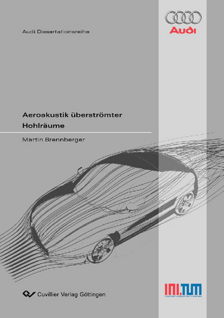 Aeroakustik überströmter Hohlräume