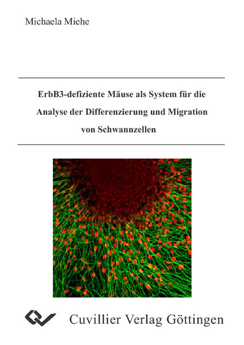 ErbB3-defiziente Mäuse als System für die Analyse der Differenzierung und Migration von Schwannzellen -  Michaela Miehe