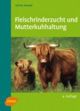 Fleischrinderzucht und Mutterkuhhaltung - Günter Hampel