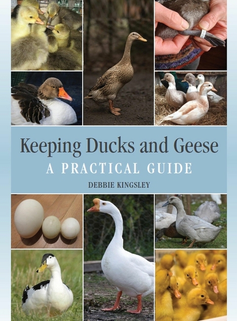 Keeping Ducks and Geese -  Debbie Kingsley