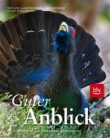 Guter Anblick - J&ouml;rg Mangold, Erich Marek