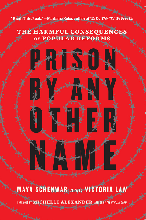Prison by Any Other Name - Maya Schenwar