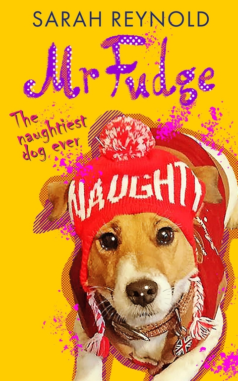 Mr Fudge -  Sarah Reynold