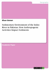 Sedimentary Environment of the Indus River in Pakistan. How Anthropogenic Activities Impact Sediments - Khan Usman
