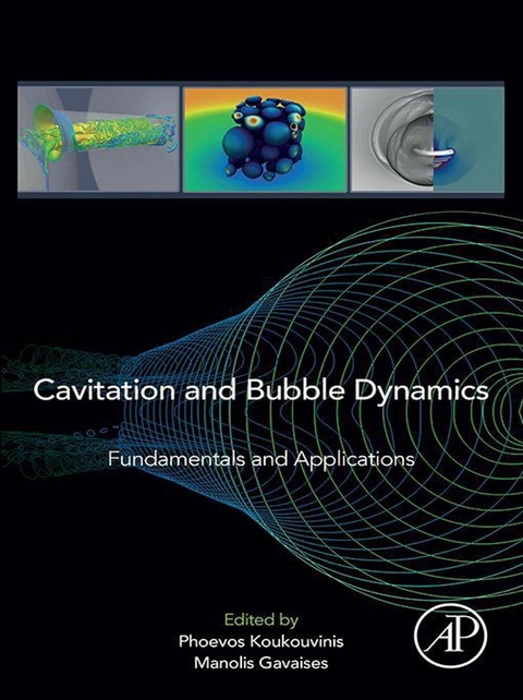 Cavitation and Bubble Dynamics - 