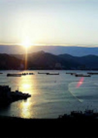 The Career Genie, An Original Fiction Series