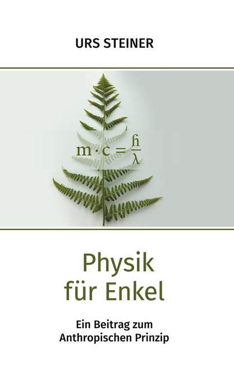 Physik f&uuml;r Enkel -  Urs Steiner