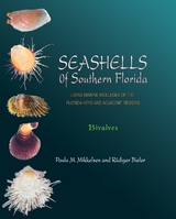 Seashells of Southern Florida - Paula M. Mikkelsen, R&uuml;diger Bieler