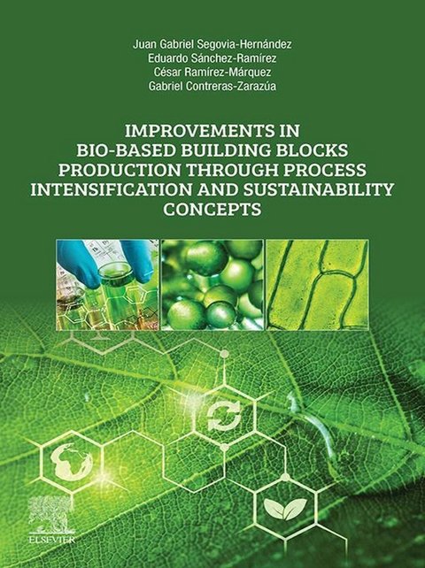 Improvements in Bio-Based Building Blocks Production Through Process Intensification and Sustainability Concepts -  Gabriel Contreras-Zarazua,  Cesar Ramirez-Marquez,  Eduardo Sanchez-Ramirez,  Juan Gabriel Segovia-Hernandez