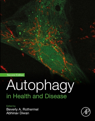 Autophagy in Health and Disease
