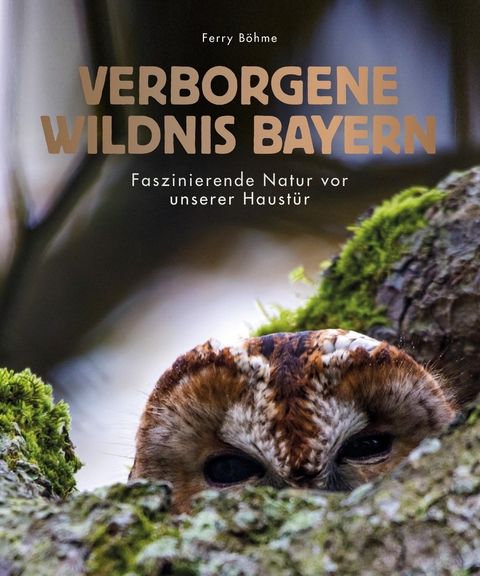 Verborgene Wildnis Bayern - Ferry B&Ouml;HME