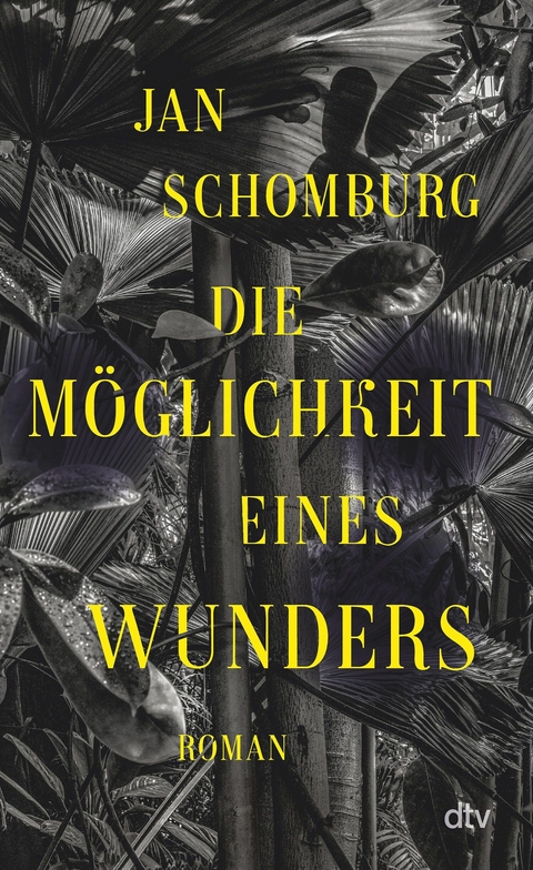 Die M&ouml;glichkeit eines Wunders - Jan Schomburg