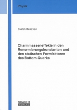 Charmmasseneffekte in den Renormierungskonstanten und den statischen Formfaktoren des Bottom-Quarks - Stefan Bekavac