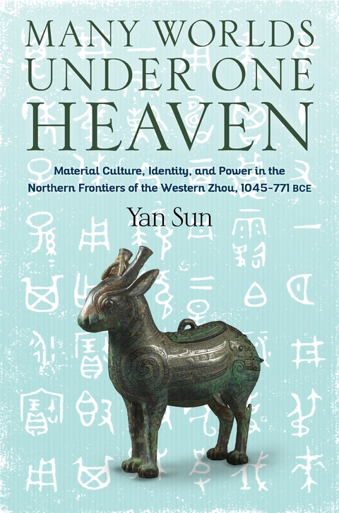 Many Worlds Under One Heaven - Yan Sun