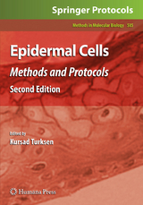 Epidermal Cells - 