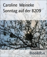 Sonntag auf der B209 - Caroline Meineke