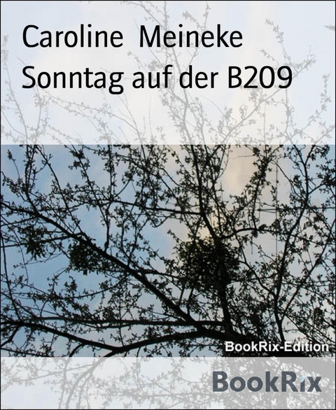 Sonntag auf der B209 - Caroline Meineke