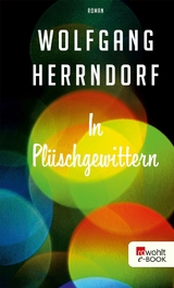 In Pl&uuml;schgewittern - Wolfgang Herrndorf