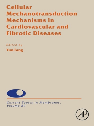Cellular Mechanotransduction Mechanisms in Cardiovascular and Fibrotic Diseases