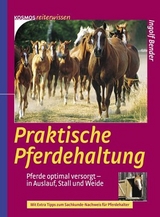 Praktische Pferdhaltung - Bender, Ingolf