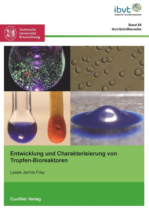 Entwicklung und Charakterisierung von Tropfen-Bioreaktoren -  Lasse Jannis Frey