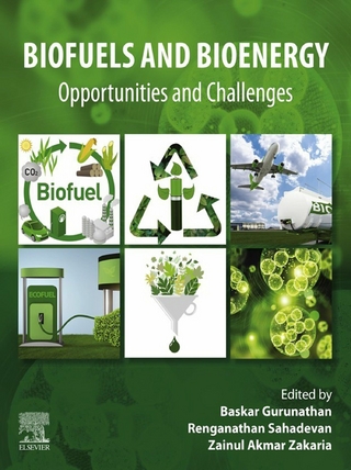 Biofuels and Bioenergy