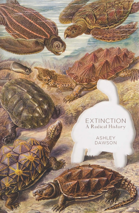 Extinction - Ashley Dawson