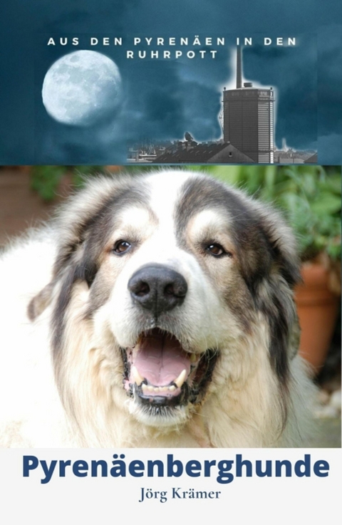 Pyren&auml;enberghund - Aus den Pyren&auml;en in den Ruhrpott -  J&ouml;rg Kr&auml;mer