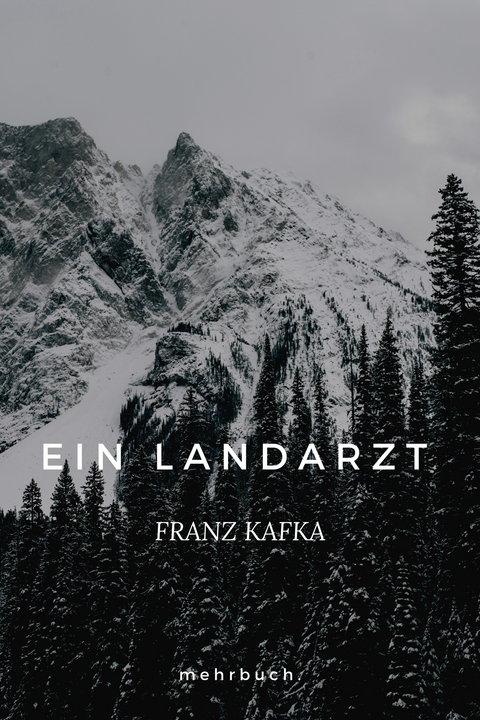 Ein Landarzt - Franz Kafka