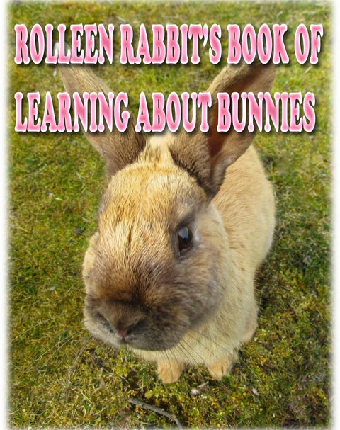 Rolleen Rabbit's Book of Learning About Bunnies - Rowena Kong