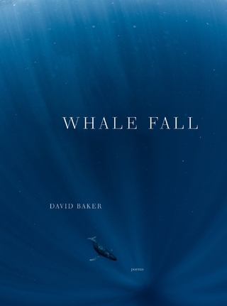 Whale Fall