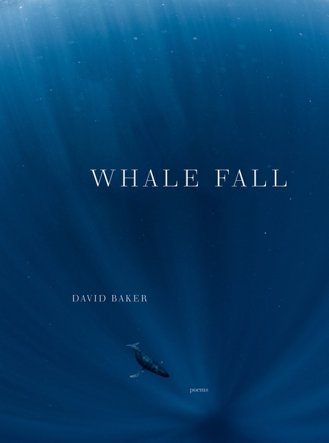 Whale Fall - David Baker