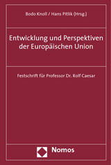 Entwicklung und Perspektiven der Europ&auml;ischen Union - 
