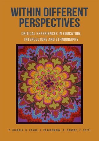 Within Different Perspectives