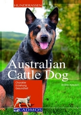 Australian Cattle Dog - Andrea Kreusch