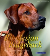 Rhodesian Ridegeback - Peter Obschernicat