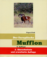 Der Europäische Mufflon - Uloth, Walter; Piegert, Holger