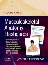 Musculoskeletal Anatomy Flashcards - Muscolino, Joseph E.