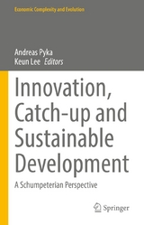 Innovation, Catch-up and Sustainable Development - 