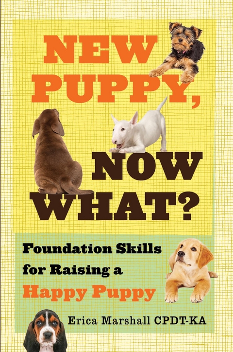New Puppy, Now What? Foundation Skills for Raising a Happy Puppy - Erica Marshall CPDT-KA