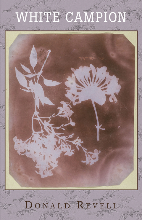 White Campion - Donald Revell